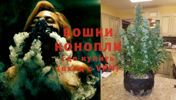 стафф Бронницы