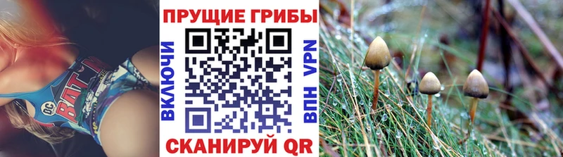 Псилоцибиновые грибы мицелий  наркотики  Сретенск 